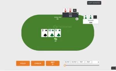 PokerSnowie: AI Self-Learning Leak Detection & Poker Training