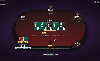 Pinco Poker Testing: Lots of Recreational Players & Solid Cashier