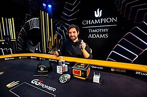 Triton Super High Roller Series: the Main Trophies Went to the Pros