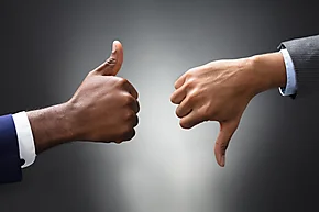 2 Very Different Outcomes: VeniVidi and Paisting Sum Up 2024