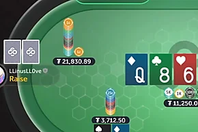 How the Top Poker Players Adapt to Opponents: Linus vs Barak